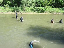 Пропавшую в Алматинской области двухлетнюю девочку обнаружили мертвой
