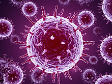 Ранней осени не будет, простуды тоже: вирусолог из Новосибирска успокоил жителей