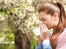 ФМБА начнет клинические исследования вакцины от аллергии на пыльцу в 2024 году