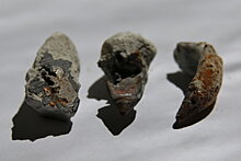 В инкерманском камне возрастом 70 млн лет нашли медные "пули"