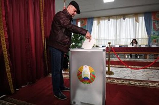 Наблюдатели сообщили об открытости выборов в Беларуси