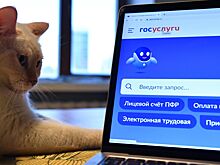 Массовое электронное голосование привело к сбоям сайта «Госуслуг»