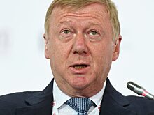 Делягин назвал Чубайса разрушителем