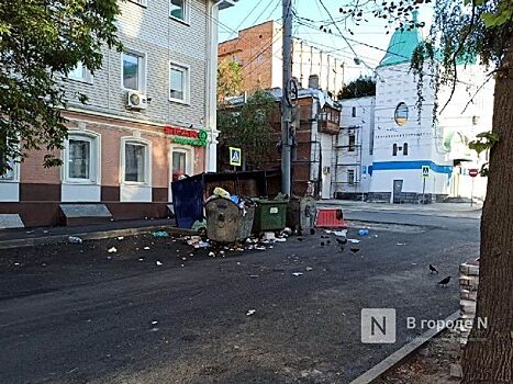 Нижегородцы пожаловались на ужасное состояние мусорной площадки на улице Фрунзе