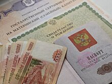 В ГД предложили увеличить размер маткапитала в регионах с низкой рождаемостью