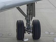 Российские пилоты продолжили полет несмотря на столкновение самолета с птицей