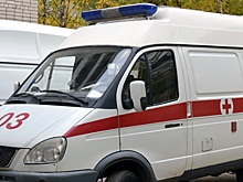 В Москве умер внук Никиты Хрущёва Алексей Аджубей