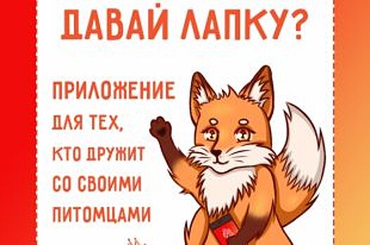В Новороссийске создали приложение с объявлениями о домашних питомцах