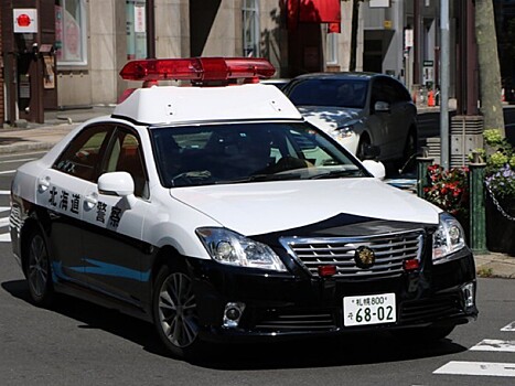 В Токио сторонник "Аум Синрикё"* въехал на автомобиле в толпу празднующих Новый год, ранены девять человек