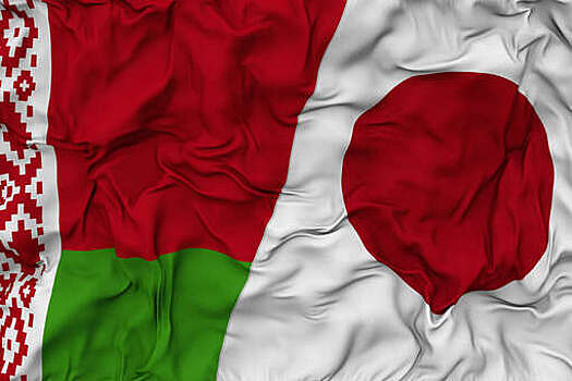 МИД РБ: Минск не откажется от контактов с Токио из-за задержания шпиона