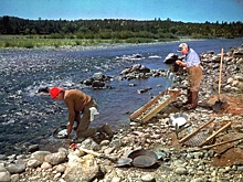 Золотая лихорадка на винтажных фотографиях