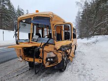 В Псковской области возбудили дело после ДТП с автобусом, перевозившим детей