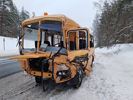В Псковской области возбудили дело после ДТП с автобусом, перевозившим детей