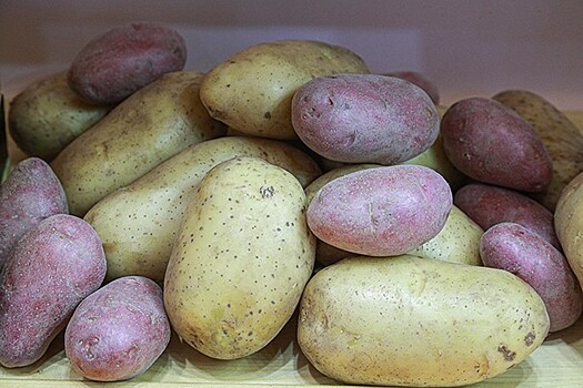 Украина стала покупать больше российской картошки