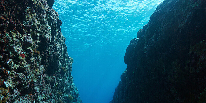В Средиземном море нашли гигантский подводный каньон