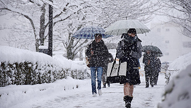 Снегопады в Японии привели к гибели семи человек