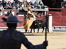 В Испании хотят запретить детям посещать корриду