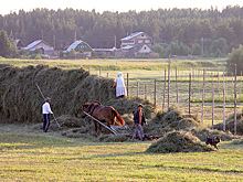 Фермерские дома предложили строить на сельхозземлях 