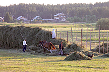 Фермерские дома предложили строить на сельхозземлях 