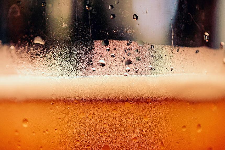 Учёные создали ячмень-мутант для улучшения пива