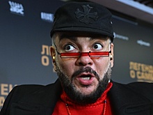 Предприниматель потребовал снести объекты с земли Киркорова