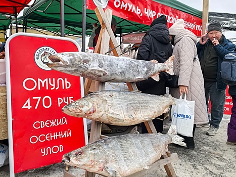 Рыболовецкие хозяйства из 5 улусов выставили продукцию на ярмарке "Рыба Якутии"