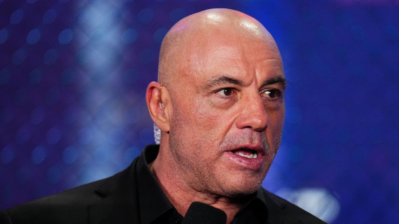 ���&nbsp; ����� ������ � ��������� ���������� UFC � ����� ����