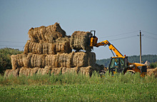 Россия наращивает экспорт сена. В чем причины спроса и каковы перспективы рынка?