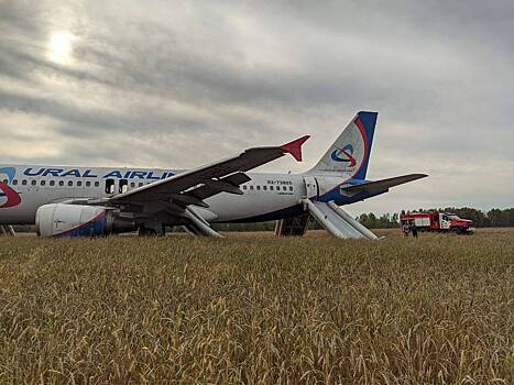 Росавиация проведет расследование причин экстренной посадки Airbus в поле