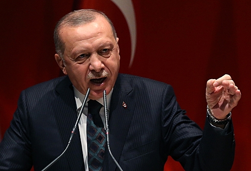 "Эрдоган плюнул в лицо Египту и Эмиратам"