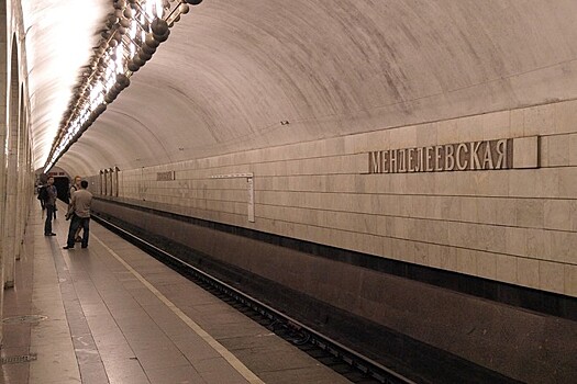 Поезда встали на серой ветке метро из-за упавшего на рельсы мужчины