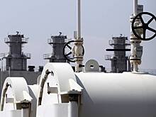 В России национализировали нефтесервисный холдинг «Борец»
