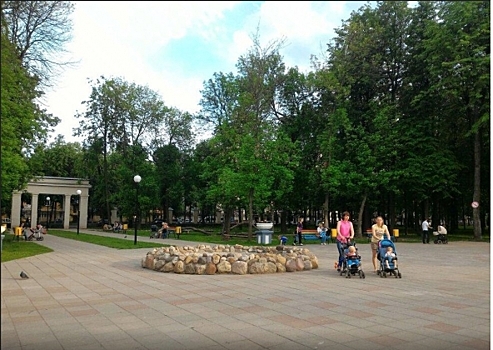 Ярославские градозащитники усомнились в нужности спорткомплекса в парке