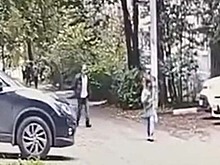Бастрыкин поручил доложить о расследовании дела по нападению на девочку в Солнечногорске