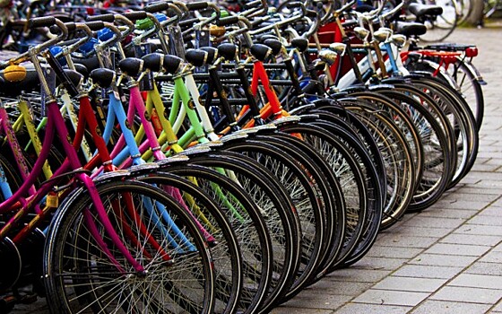 Бесстанционный велопрокат появится в столице