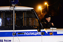 В МВД объяснили поступок ударившего девушку в живот полицейского в Москве