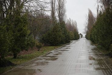 Общественникам предложили наблюдать за реконструкцией набережной в Таганроге