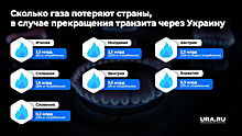 Транзит газа из России через Словакию за четыре года снизился в 3,5 раза