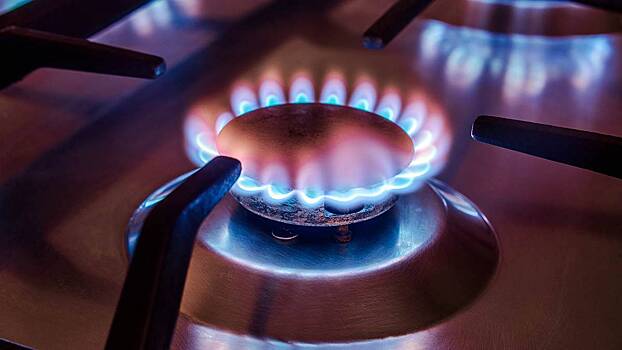 Специалист Москвина заявила о важности закона об обязательной проверке газового оборудования