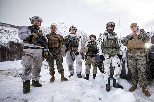 Арктическая паранойя: зачем Норвегия пугает граждан войной с Россией