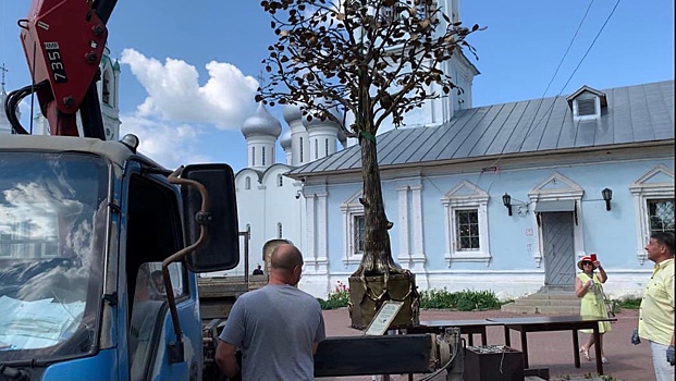 В Вологде на Кремлевской площади вскрыли копилку Дерева веры, надежды и любви