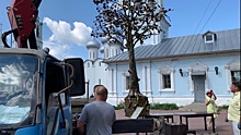 В Вологде на Кремлевской площади вскрыли копилку Дерева веры, надежды и любви