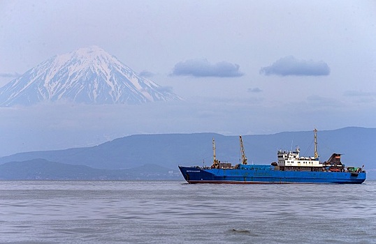 Мировой логистический кризис пришел на Камчатку и Чукотку