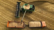 Путин назвал потери российских аграриев из-за зерновой сделки