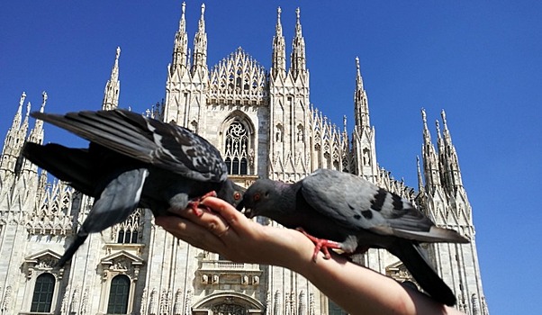 Лоукостер «Победа» доставит пассажиров в Италию вдвое дороже, чем до ковида