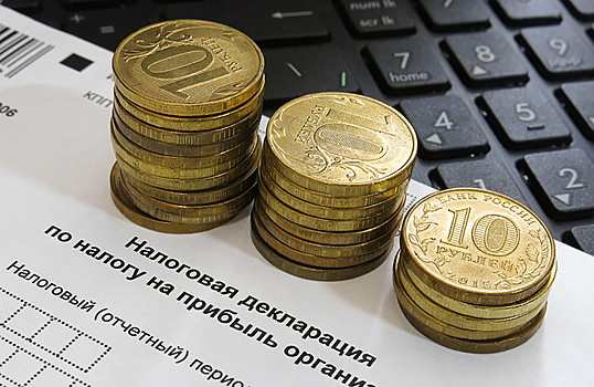Совет Федерации предлагает ввести специальное налогообложение для блогеров