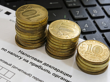 Совет Федерации предлагает ввести специальное налогообложение для блогеров