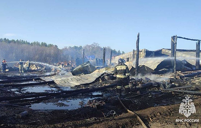 В Башкирии произошел пожар на ферме