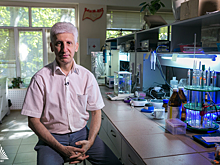 Владимир Гутерман: «Наша тематика — это каталитически активные материалы для устройств водородной энергетики»