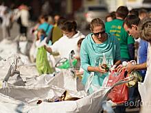 «Экопарк» на площади Революции открылся в эти выходные в Вологде